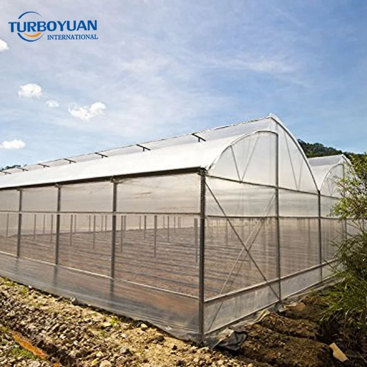 Thickness 40 micron Green house Farm Clear Plastic Film Polyethylene Covering 