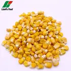 Dried Corn Driedcorn Organic FD Vegetables Dehydrated Freeze Dried Yellow Corn