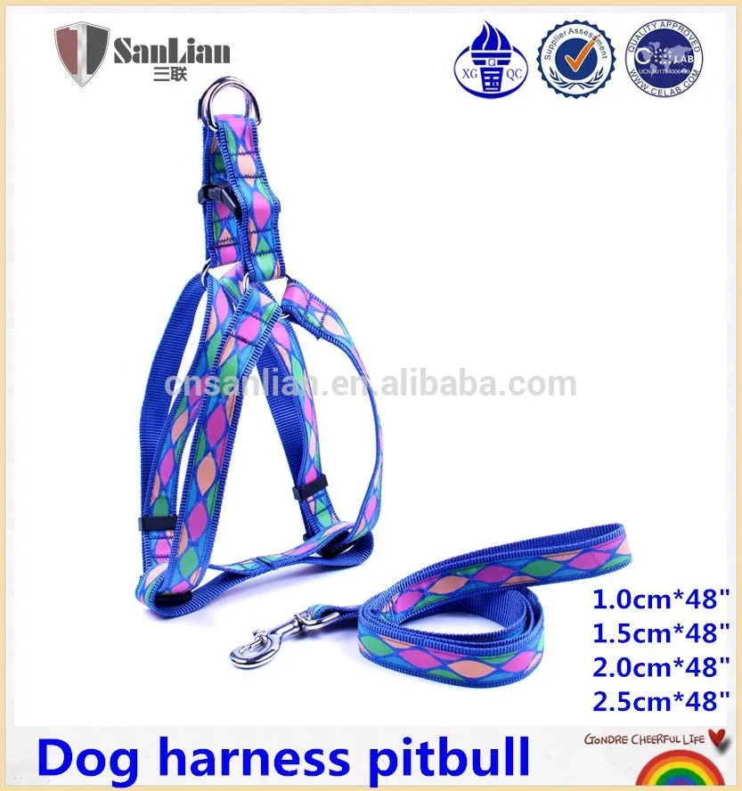 Animaux De Compagnie Ceinture De Couleur Chien Harnais De S Curit