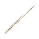 Popular Grade 16 Closed Hole Silver Plated Flute