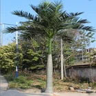 Palm Buy Artificial Tree Factory Wholesale Products Artificial Large Coconut Tree Roystonea Regia Palm Tree