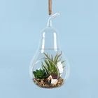 Pear Shape Glass Glass Pear Shape Glass Terrarium Hand Blown Hanging Pear Shape Glass Vase Terrarium