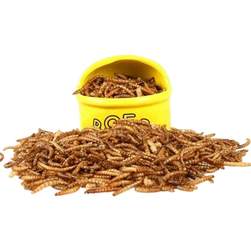 12.55 kg dried mealworms