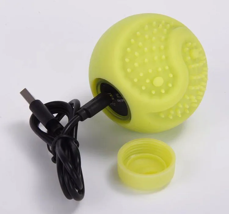 motion sensor dog toy