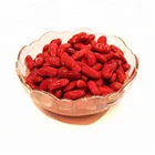 Beans Canned Red Kidney Beans Canned Red Kidney Beans Canned Vegetables Ready To Eat 400gx24tins