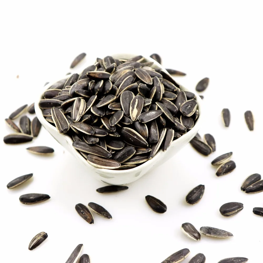 5009 sunflower seeds market price