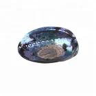 Abalone Shell Shell Wholesale Polished Abalone Shell Paua Jewelry