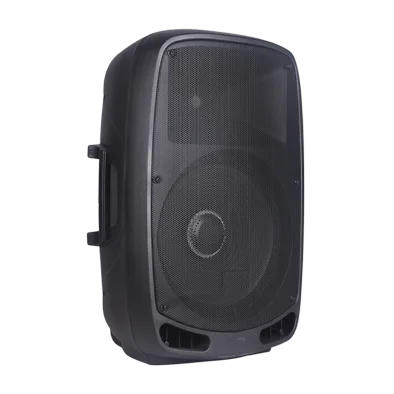 Passive Speaker Portable Audio 15inch 