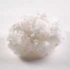 100% 100 Polyester Staple Fibre Recycled 3D Hollow Conjugated Polyester Staple Fiber White PSF Filling Material 100% Polyester Siliconized Optical Bleach Nice