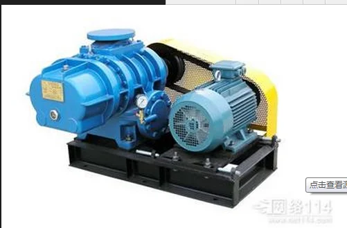 Roots Vacuum Pump, 380v, Electric - detail 14