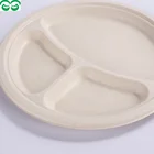 Tray Bagasse Tray High Quality Unbleached Sugarcane Bagasse Plate Rectangle Tray