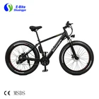 Electric Bike Electric Bike Nice Look Fashionable Mountain Snow Fat Tire Electric Bike