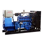 Gas Generator Engine Gas Engine Generator Price 10-1000 KW Natural Gas Generator Set /fuel: CNG LPG Biogas Syngas / Gas Engine Manufacturer