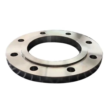 Sanitary Dn Forged Flange Aisi Stainless Steel Weld Neck Pipe