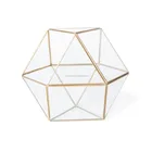 Plant Glass Glass Terrarium Cheap Plant Holder Gold Glass Terrarium For Home Decoration