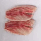 Top Quality New Processing Frozen Tilapia Fillet