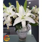 Plant Pot/ Pot Modern Fiberglass Plant Pot/ Flower Pot With Chinese Style