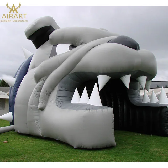 inflatable tunnel plug