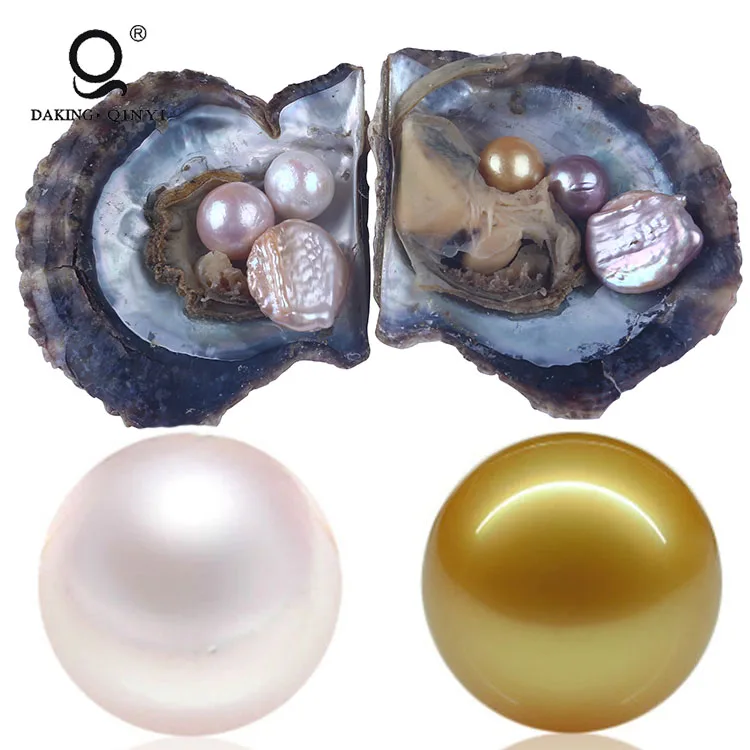 Buy Saltwater Pearl Oyster,Round Pearl 
