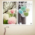 Colors Wedding Assorted Colors Paper Flower Wedding Decoration Tissue Paper Pompoms