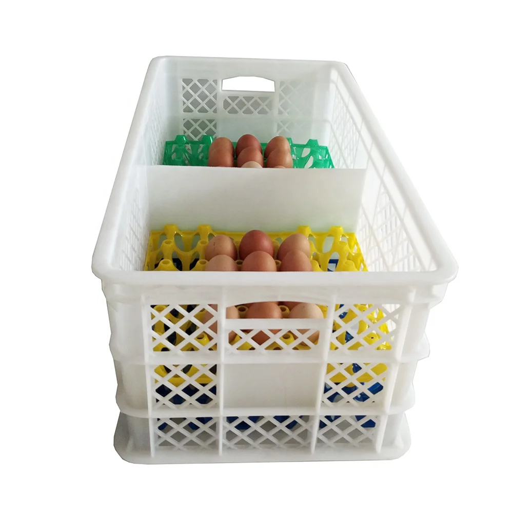 egg box plastic (8)