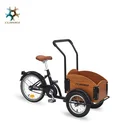 Nanyang Clamber 7013 Bike 3 Wheel Single Speed With Back Basket Has 3 Size