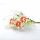 Chrysanthemum Chrysanthemum Single Stem Chrysanthemum With 3 Heads