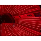 Home Care Led Light Therapy Machine Led Facial Machine Pdt Light Therapy Woman Home Care Bed