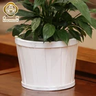 Plant Box Wood Plant Pot Outdoor White Flower Plant Box Wooden Plant Pot