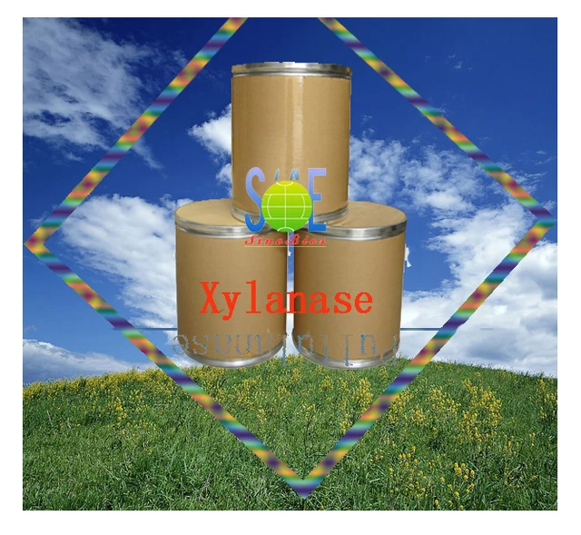 Xylanase Enzyme XY100FE for feed additive feed enzyme