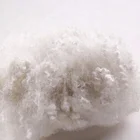 100% Polyester Fibre 7D*64 Hollow Siliconized Polyester Staple Fiber Manufacture Filling Material Raw White Bleach White 100% Polyester Recycled