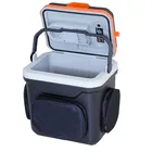 Cooler Car NEW Design Portable Electric Car Cooler Box 12V 24L ErP A