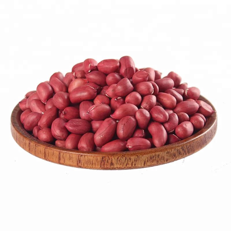 groundnut (7).png