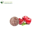 100% EU And NOP Organic Certificated NON-GMO NO- Pigment Addition Organic Pomegranate Fruit Juice Powder