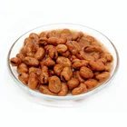 Canned Food Canned Beans Canned Broad Beans Canned Food