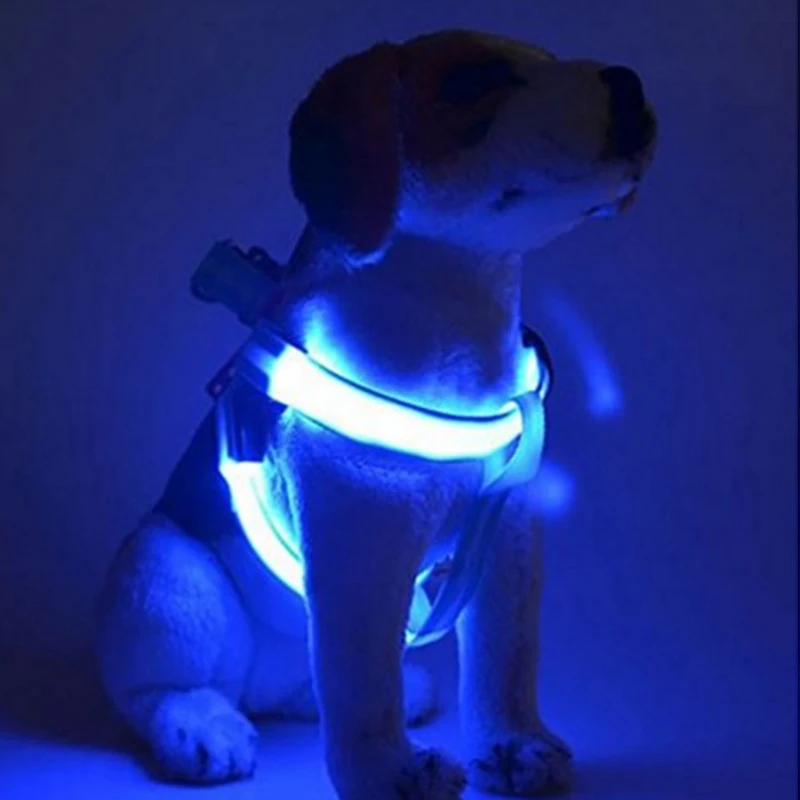 led dog harness