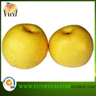 Pear Pears Fresh Pear Su Pear With Best Price For Wholesale Pears