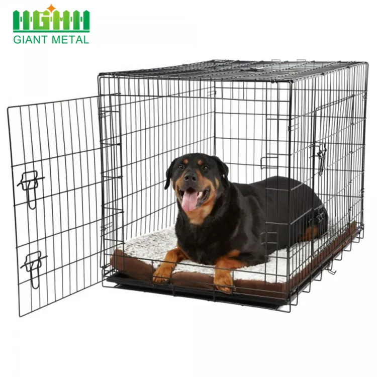 Dogs Cages ubicaciondepersonas.cdmx.gob.mx