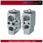 Expansion Valves For VW POLO FOX /SEAT CORDOBA IBIZA /SKODA FABIA ROOMSTER 6Q0820679 6Q0820679A
