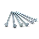 Nail Wire Nails Wire Nail Manufacture Factory Price Galvanized Common Nail Polished Wire Iron Nails
