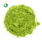100% Natural Tea Wholesale 100% Natural Pure Matcha Green Tea