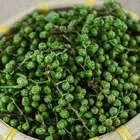 Green Pepper Good Price Wholesale Hand Picked Sichuan Green Pepper