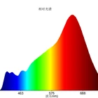 Cob 20w Sunlight Full Spectrum Chips Cob J6 19*19mm Warm White 3000K Color Temperature Can Be Customized