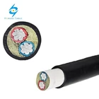 600v 1000v 2 Core 15mm 16mm XLPE PVC Insulated Power Cable