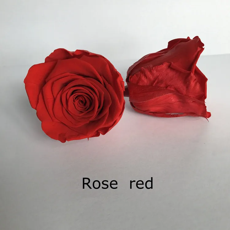 Wholesale Preserved White Roses 