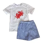 Teen Boy Kids Sets Hot Selling Teen Clothing Set 100%Cotton Children Boy Wholesale Kid's Boutique Clothing Outfits