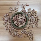 Beans Bean Kidney Beans Wholesale Pinto Beans Light Speckled Dried Kidney Bean Recipes