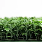 Plant Landscaping Vertical Garden Artificial Plant Boxwood Hedge Panel Wall