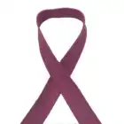 Elastic Belt Rose Red Polyester Elastic Webbing Strap Webbing Belt Webbing