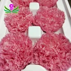 New Arrival Preserved Carnation With Different Sizes For Sale